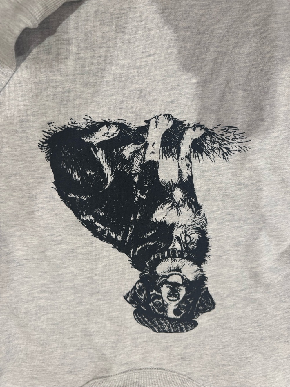 Anthropologie Maeve Best in Show Dog Crewneck Size M - Picture 4 of 7